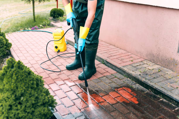Best Vinyl Siding Pressure Washing in Springville, VA