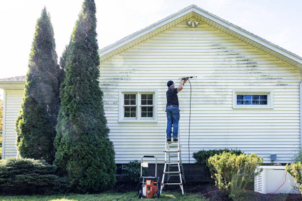 Best Building Exterior Pressure Washing in Springville, VA